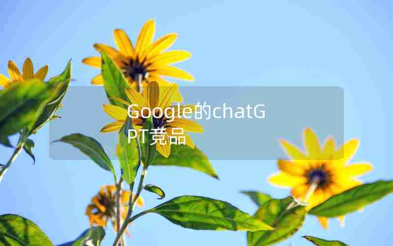 Google的chatGPT竞品 Google的chatGPT竞品