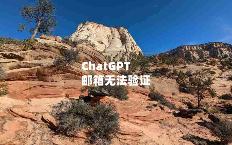 ChatGPT 邮箱无法验证