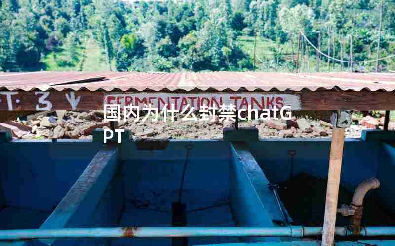 国内为什么封禁chatGPT 国内为什么封禁chatGPT