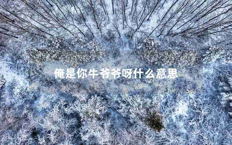 俺是你牛爷爷呀什么意思