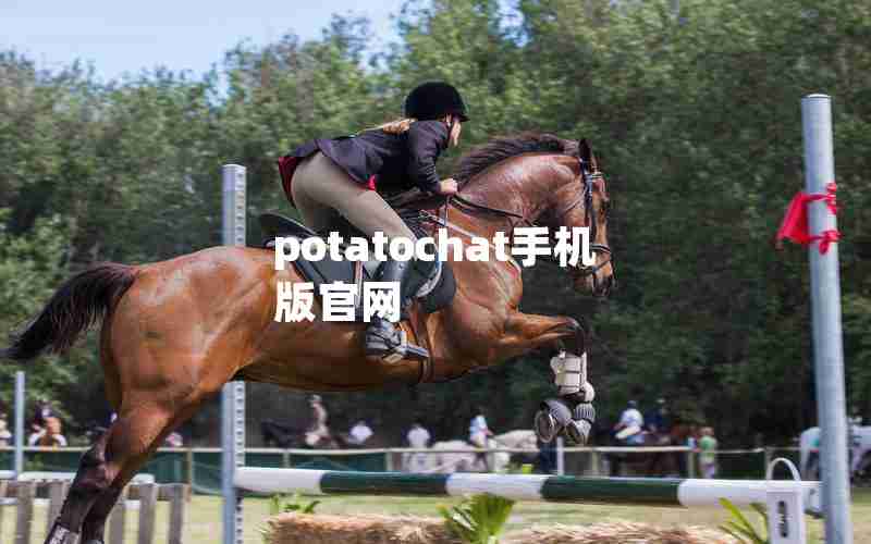 potatochat手机版官网