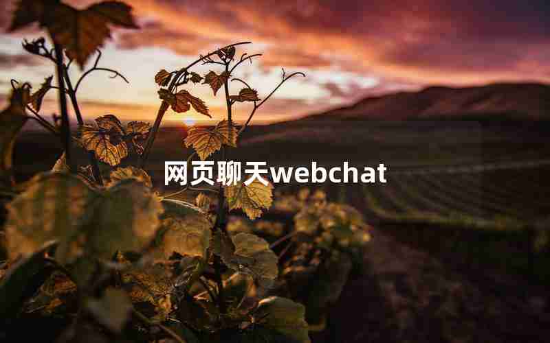 网页聊天webchat 网页聊天webchat