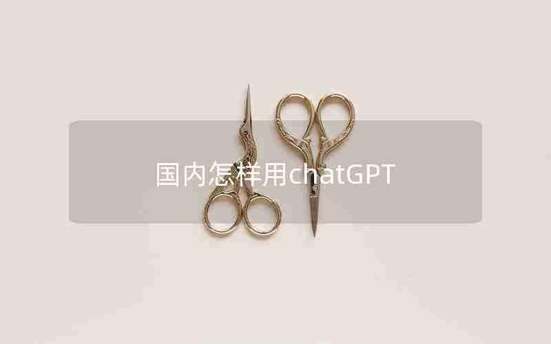 国内怎样用chatGPT