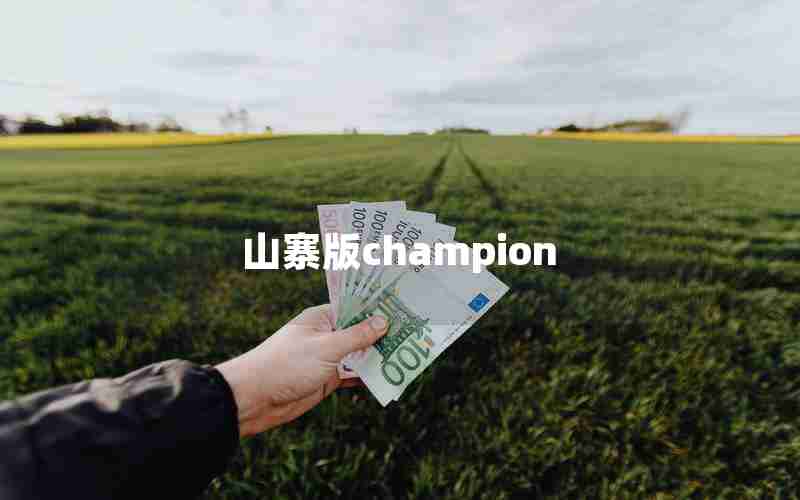 山寨版champion 山寨版champion