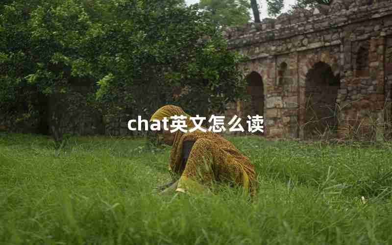 chat英文怎么读