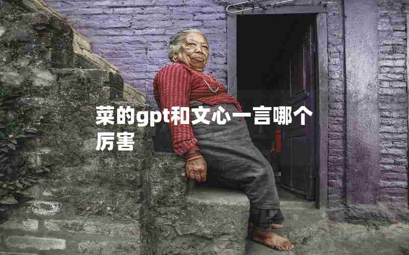菜的gpt和文心一言哪个厉害
