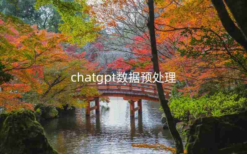 chatgpt数据预处理 chatgpt数据预处理