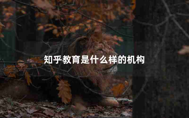 知乎教育是什么样的机构