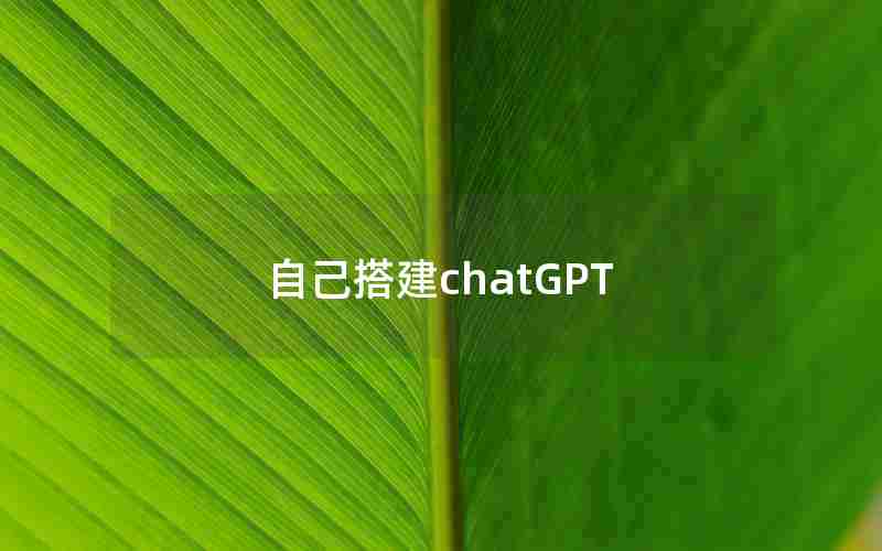自己搭建chatGPT 自己搭建chatGPT