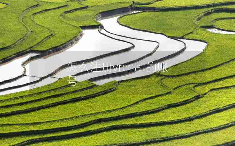 怎么注册vrchat的账号