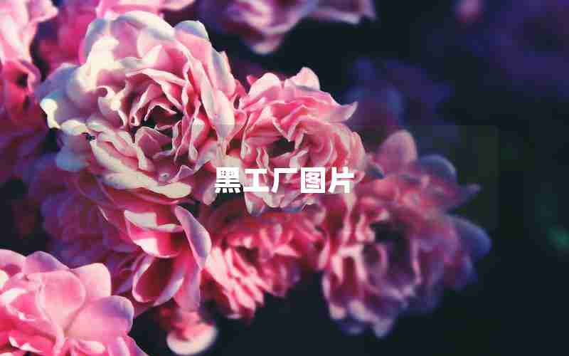 黑工厂图片 黑工厂图片