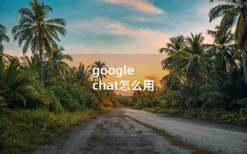 google chat怎么用 google chat怎么用