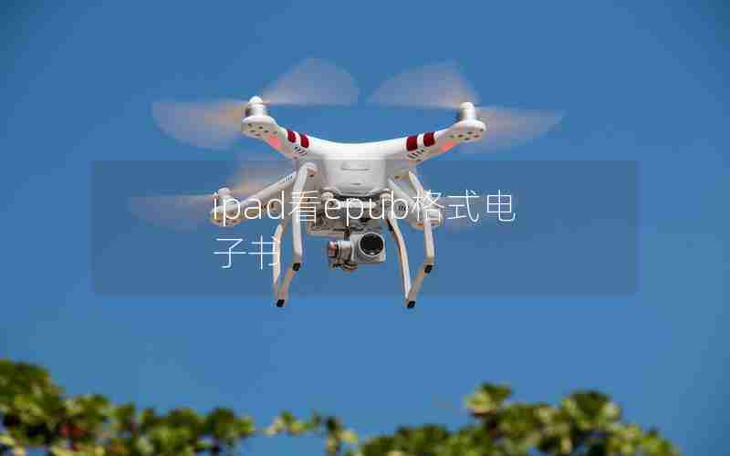ipad看epub格式电子书 ipad看epub格式电子书