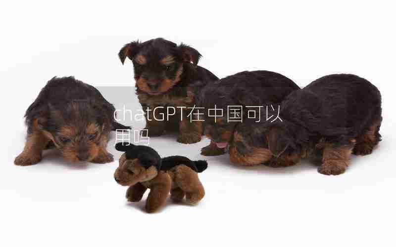 chatGPT在中国可以用吗