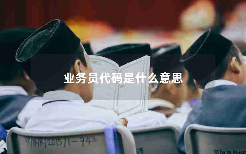 业务员代码是什么意思