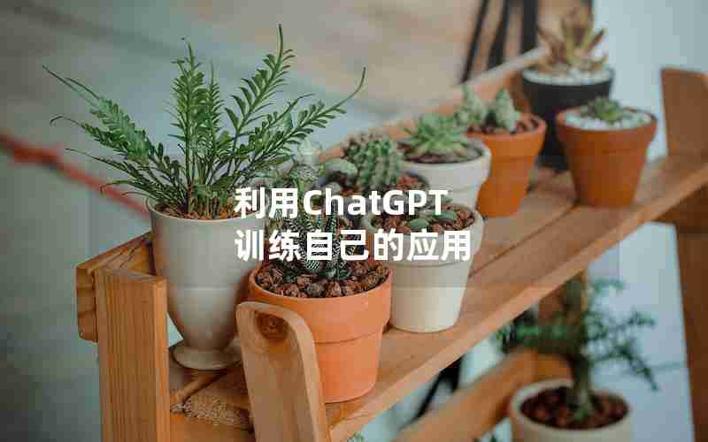 利用ChatGPT 训练自己的应用 利用ChatGPT 训练自己的应用