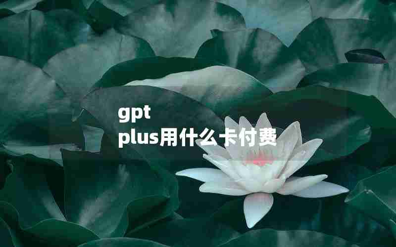 gpt plus用什么卡付费