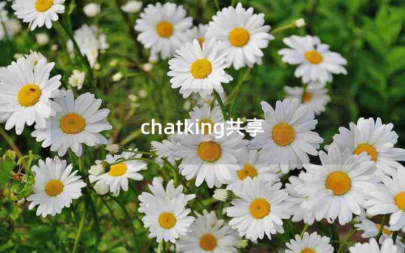 chatking共享 chatking共享