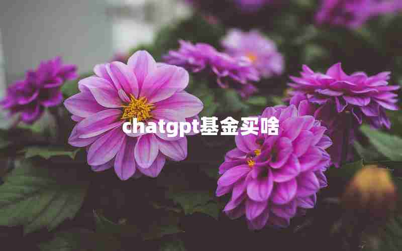 chatgpt基金买啥