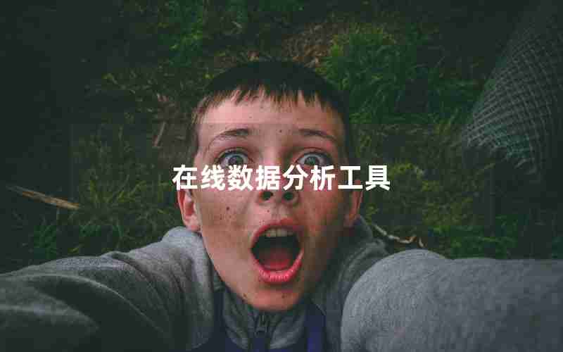 在线数据分析工具 在线数据分析工具