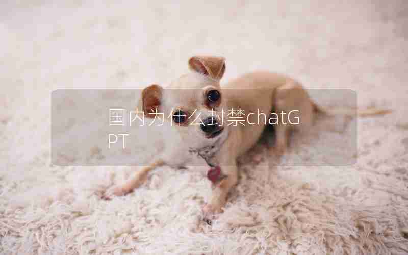 国内为什么封禁chatGPT