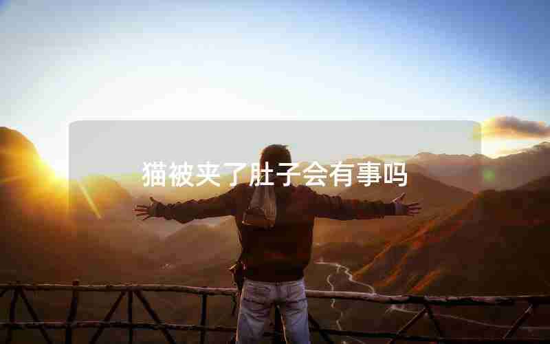 猫被夹了肚子会有事吗 猫被夹了肚子会有事吗