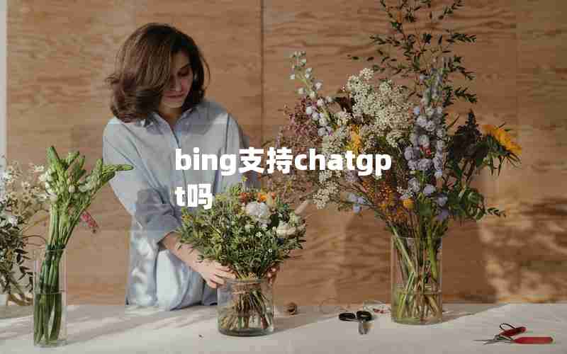 bing支持chatgpt吗