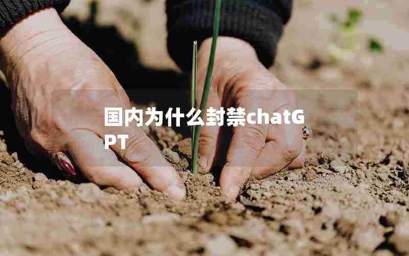 国内为什么封禁chatGPT 国内为什么封禁chatGPT