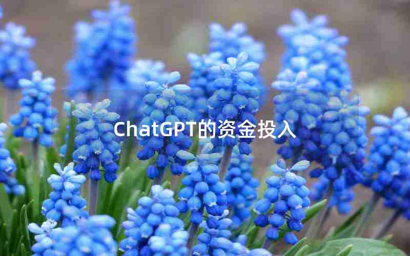 ChatGPT的资金投入 ChatGPT的资金投入