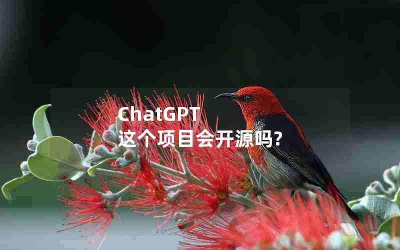 ChatGPT 这个项目会开源吗? ChatGPT 这个项目会开源吗?
