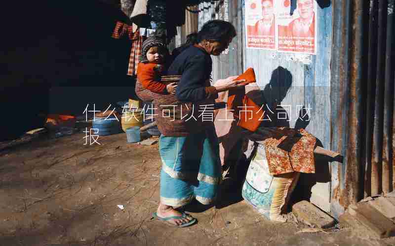 什么软件可以看上市公司财报 什么软件可以看上市公司财报