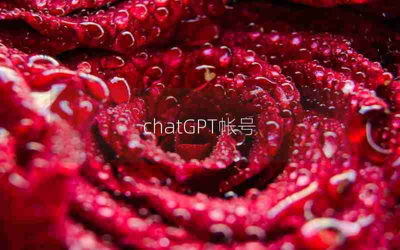 chatGPT帐号 chatGPT帐号