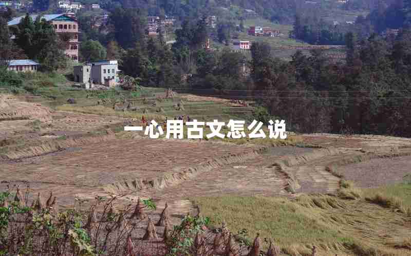 一心用古文怎么说 一心用古文怎么说