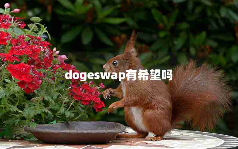dogeswap有希望吗 dogeswap有希望吗