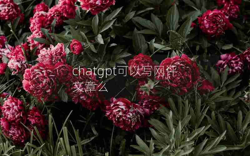 chatgpt可以写网评文章么 chatgpt可以写网评文章么