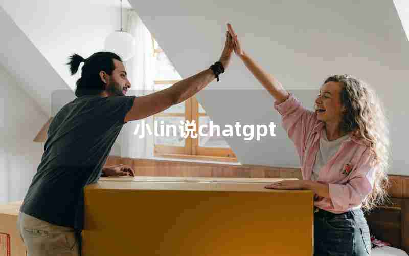 小lin说chatgpt