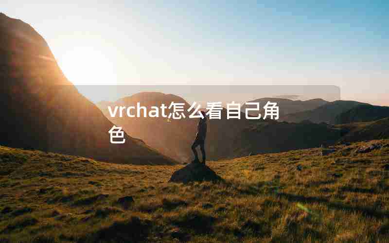 vrchat怎么看自己角色