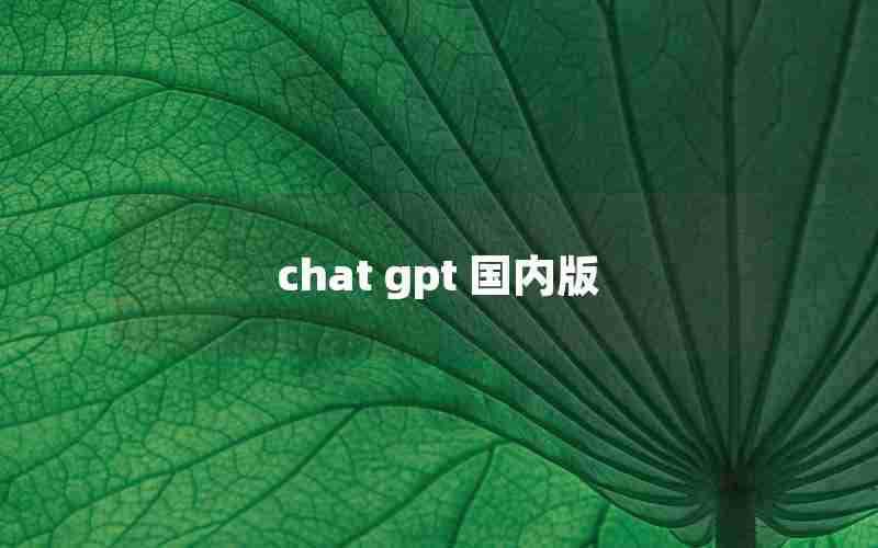 chat gpt 国内版 chat gpt 国内版