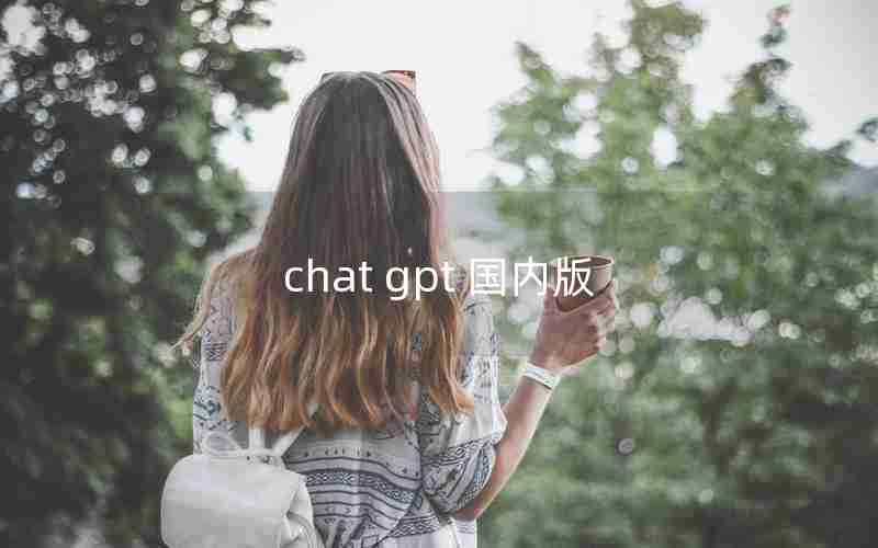 chat gpt 国内版 chat gpt 国内版
