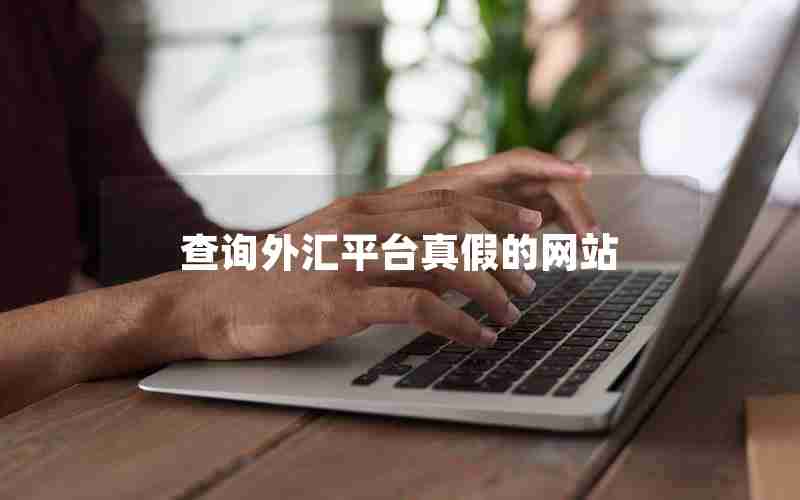 查询外汇平台真假的网站