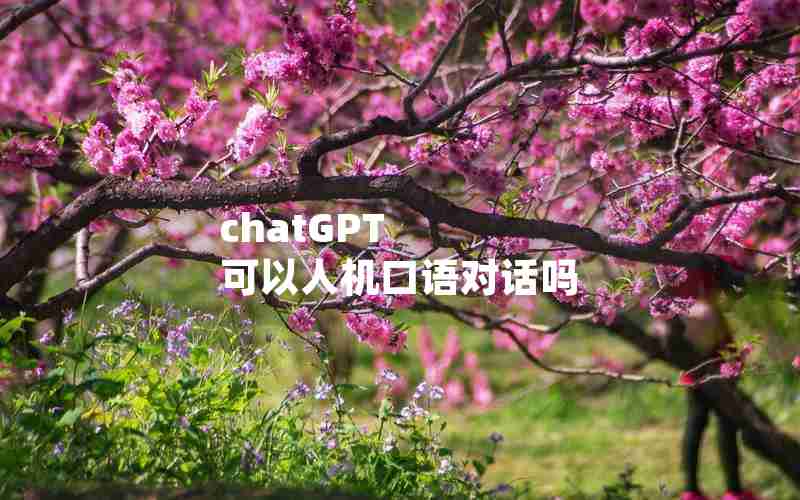 chatGPT 可以人机口语对话吗