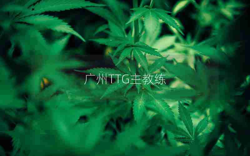 广州TTG主教练