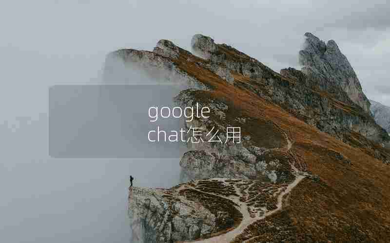 google chat怎么用