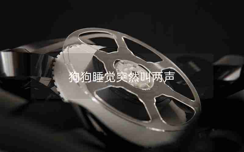 狗狗睡觉突然叫两声