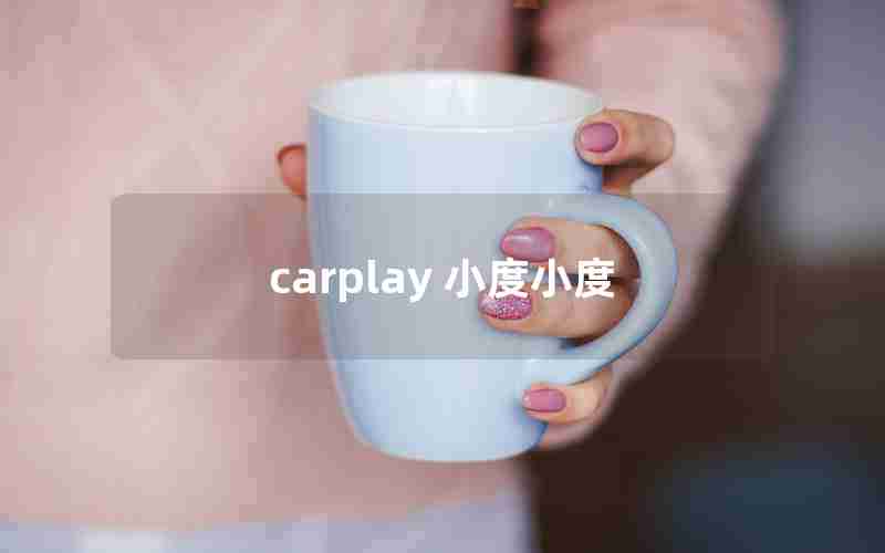 carplay 小度小度 carplay 小度小度