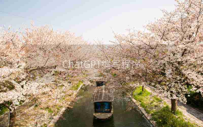 ChatGPT编写程序