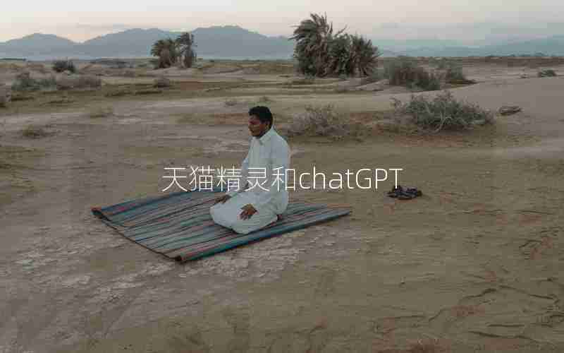 天猫精灵和chatGPT