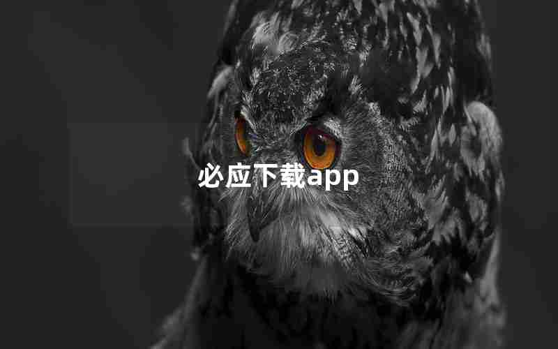 必应下载app 必应下载app