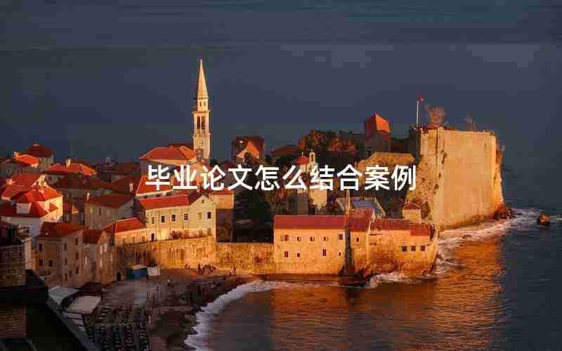 毕业论文怎么结合案例