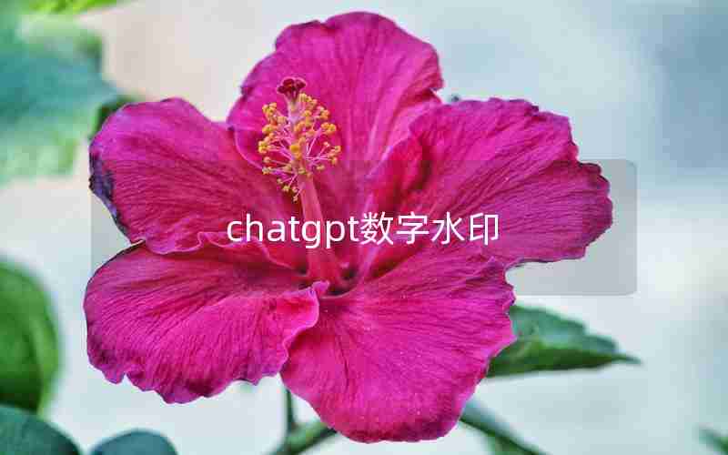 chatgpt数字水印 chatgpt数字水印